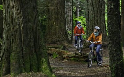 The Best Biking Trails near Harrison Hot Springs