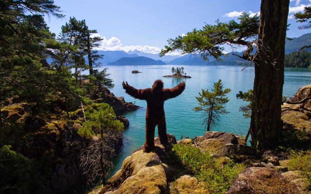 An Exclusive Interview with Harrison Harry