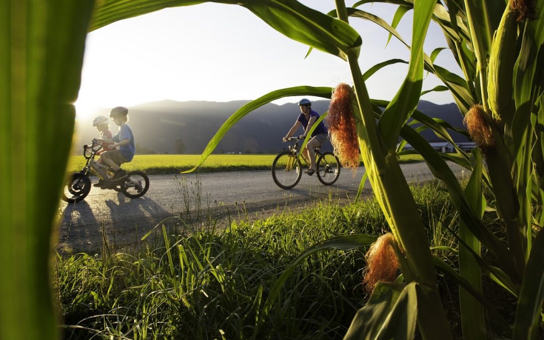 4 Reasons to Explore Harrison Hot Springs by Foot or Bike