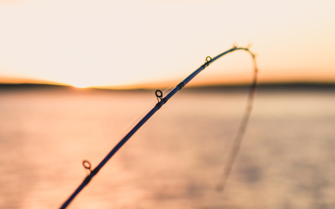 Get Out on the Open Water in Harrison Hot Springs
