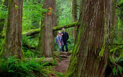 Start Dreaming of your Next Getaway